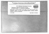 Valdensinia heterodoxa image